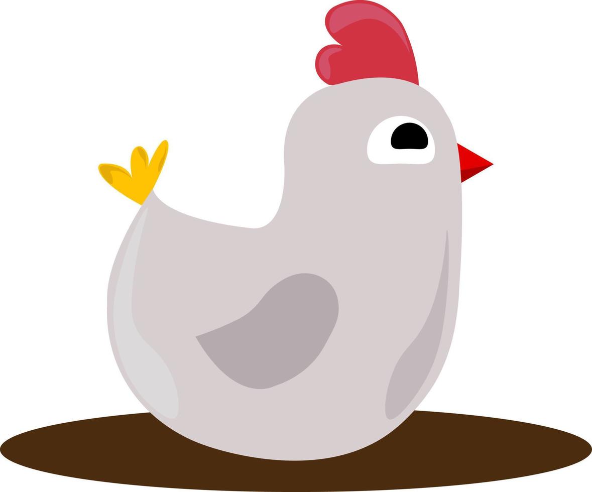 gallina blanca, ilustración, vector sobre fondo blanco.