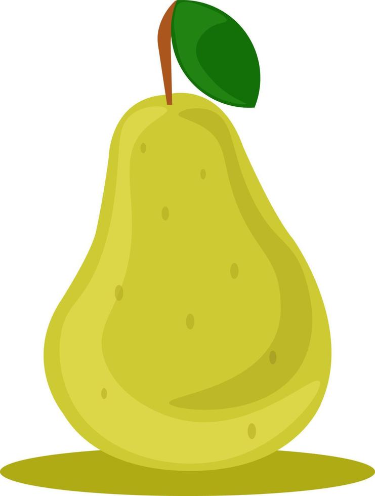 Green pear, illustration, vector on white background.