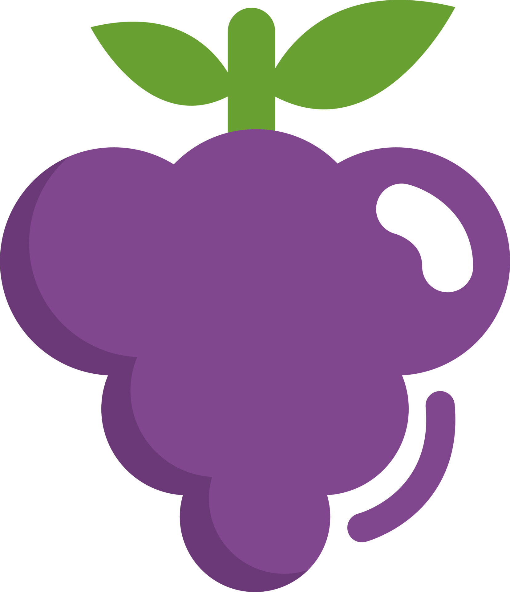Purple grapes, illustration, vector, on a white background. 13724422
