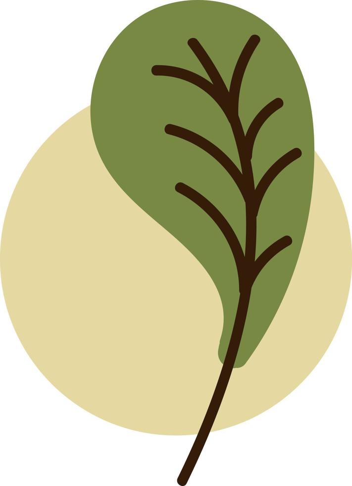 hoja de árbol verde, ilustración, sobre un fondo blanco. vector