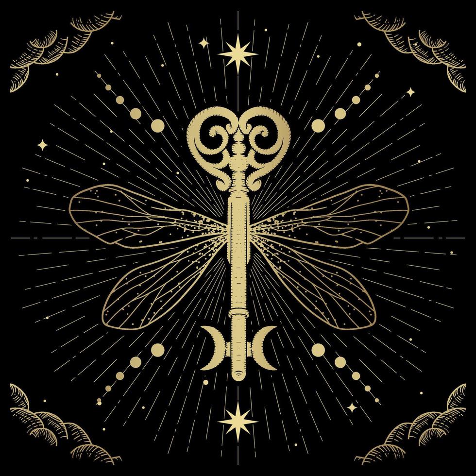 Mystic or magical key with wing to unlock another dimension vector