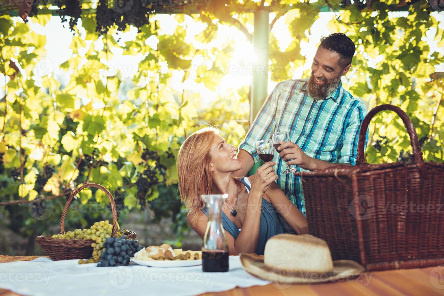 Picnic At Vineyard 13724541 Stock Photo at Vecteezy