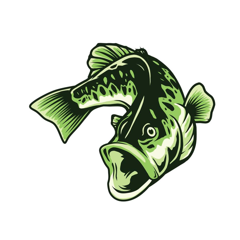 largemouth bass fish illustration vector