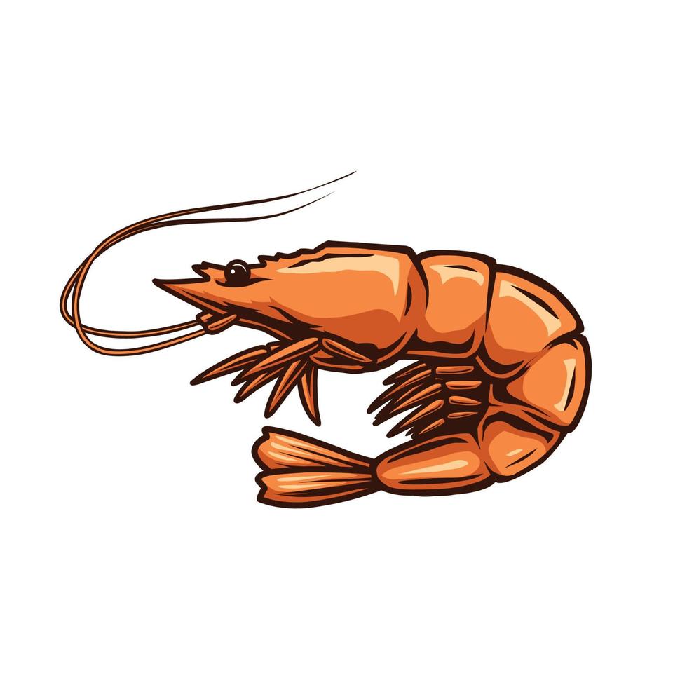 shrimp vector design