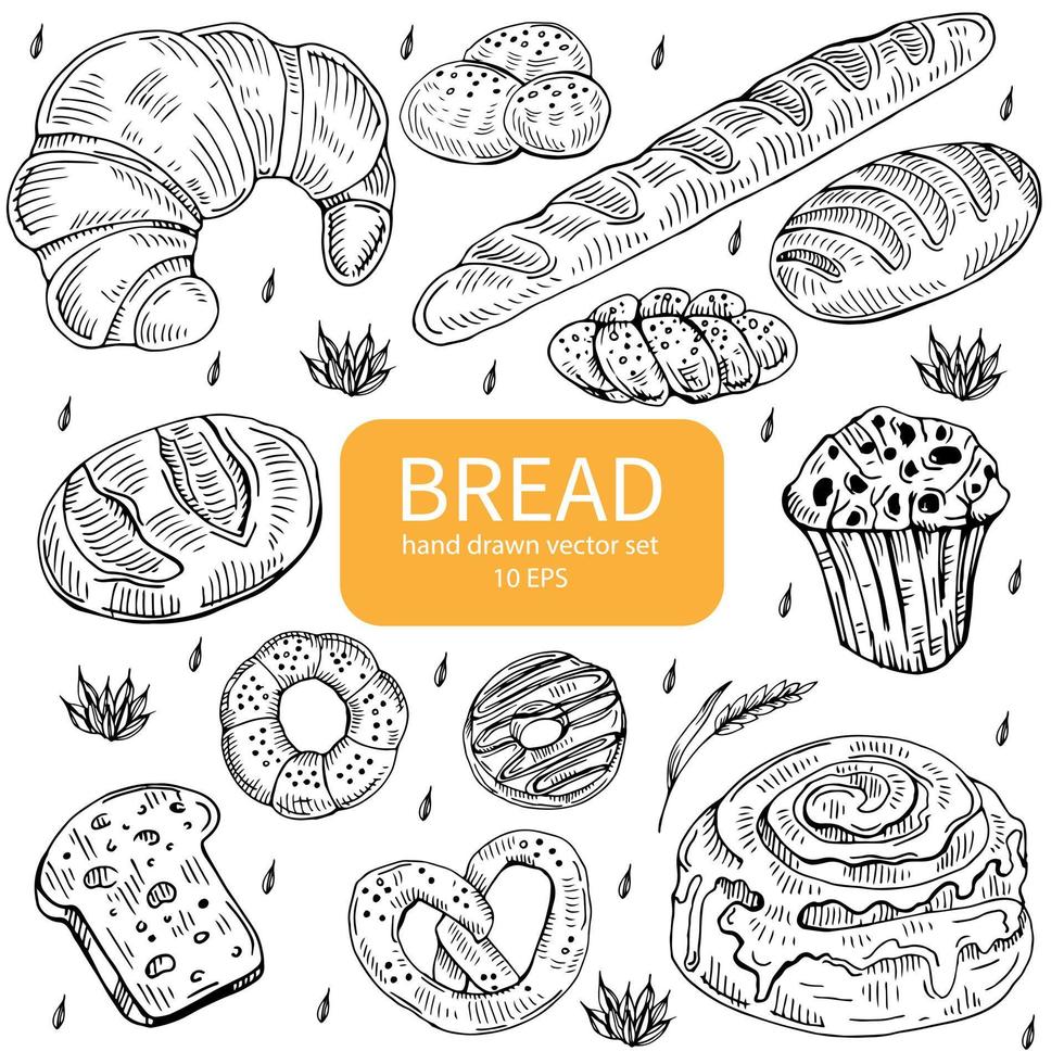 Bread set. Pen sketch converted to vectors. vector