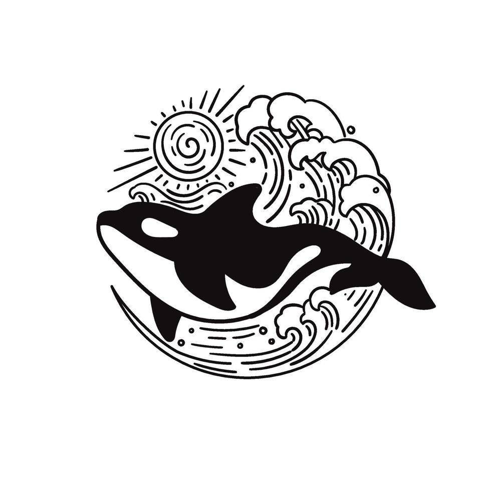 orca killer whale vector