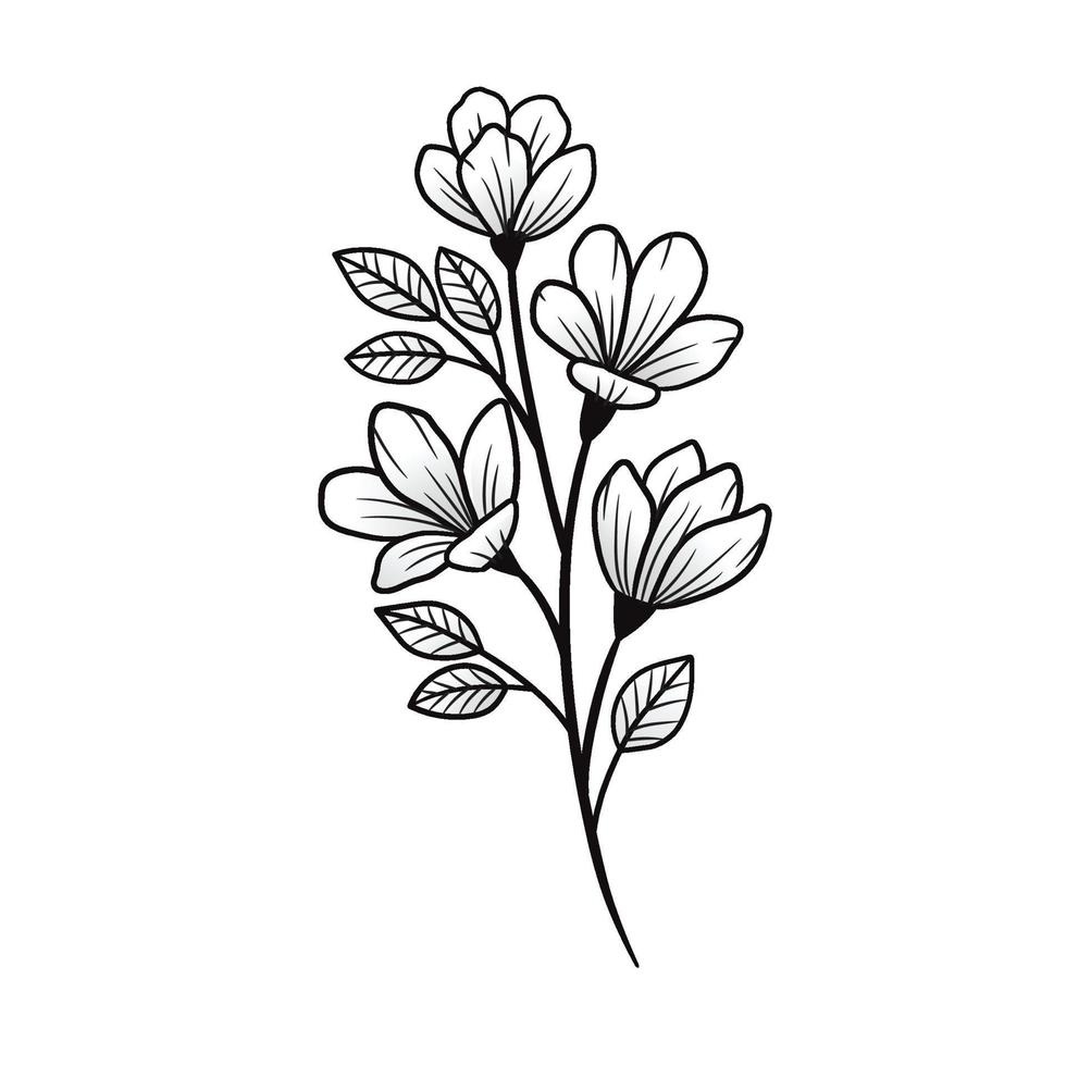 Branch sampaguita flower Hand drawn vector