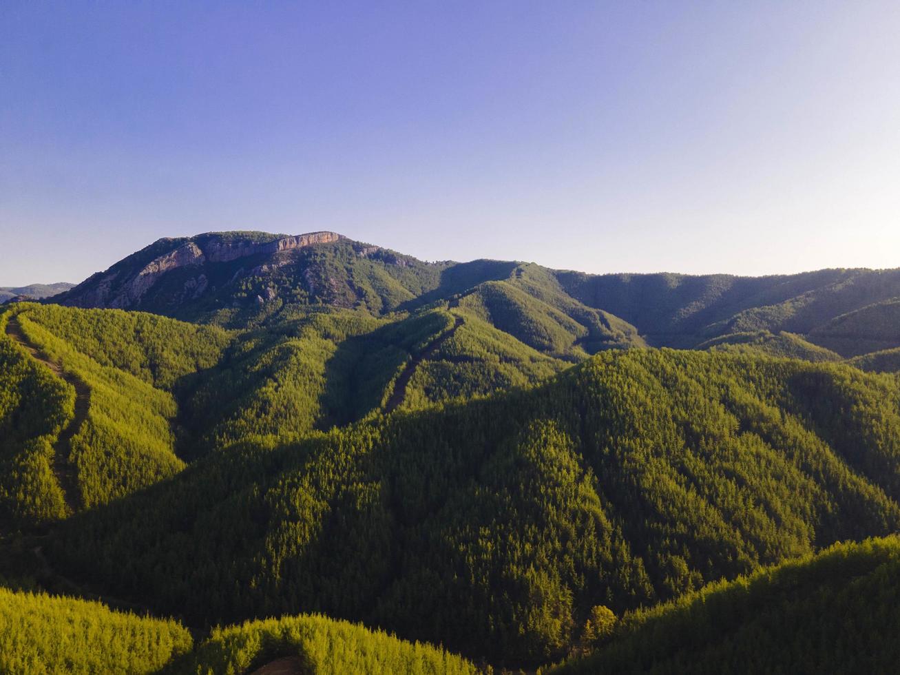 amazing valley and forest view from the air photo