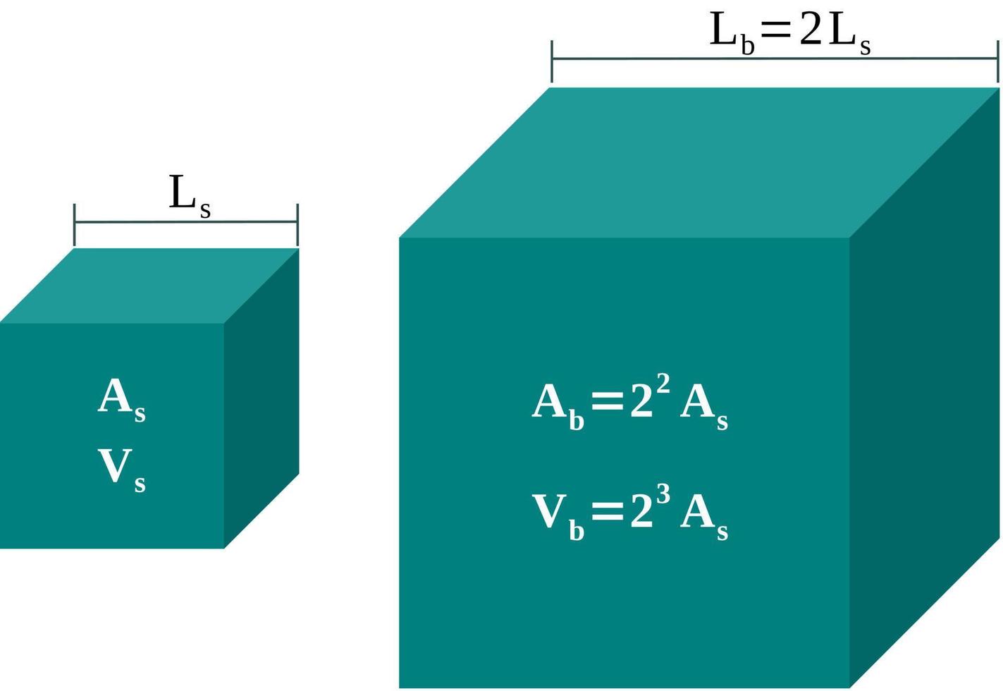 Ley del cubo cuadrado. relación entre longitudes, áreas y volúmenes vector