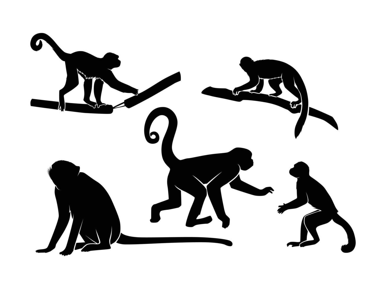 Set of Monkeys Silhouette Isolated on a white background - Vector Illustration