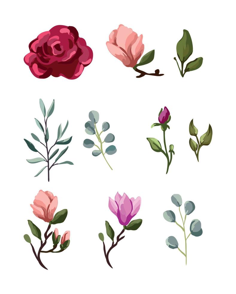 Collection of Flowers vector