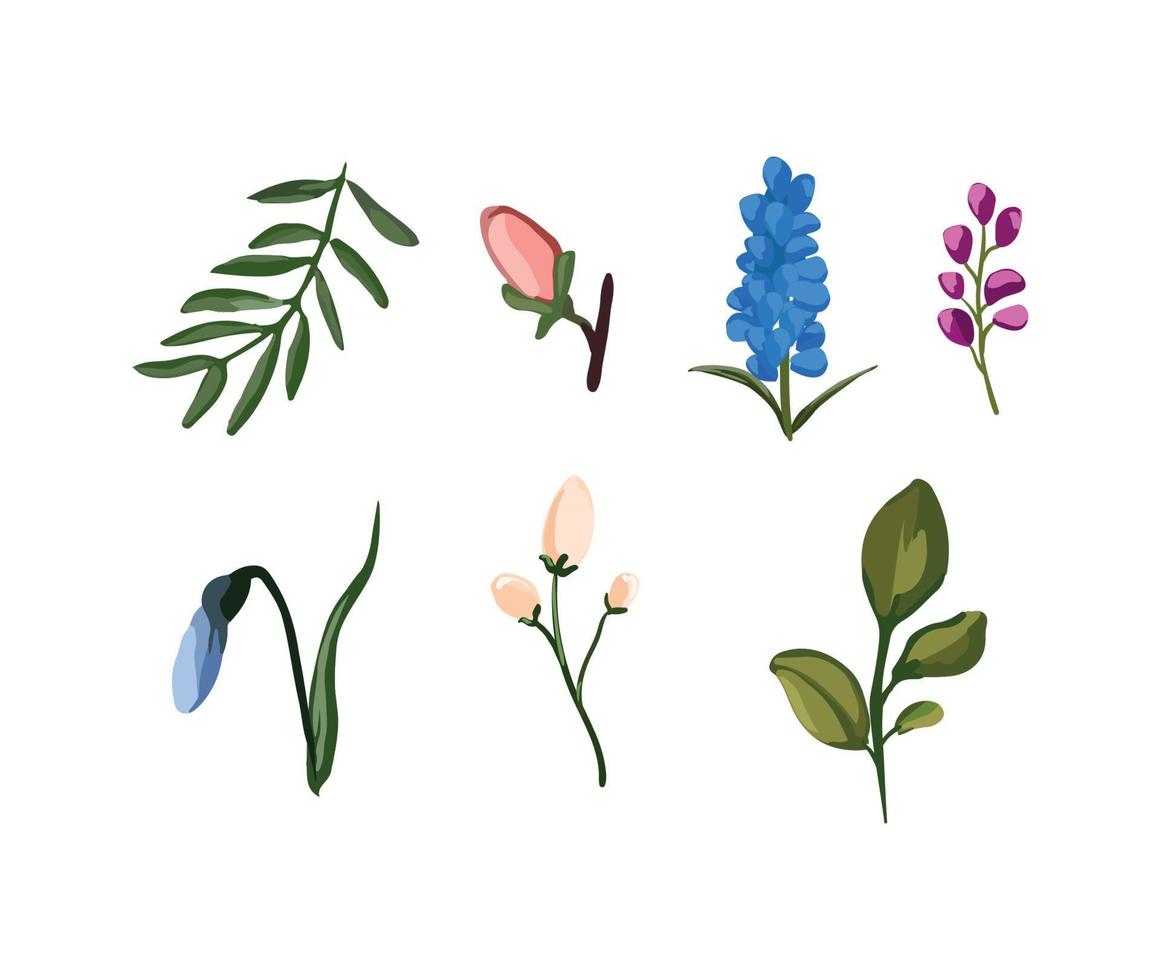 Collection of Flowers vector