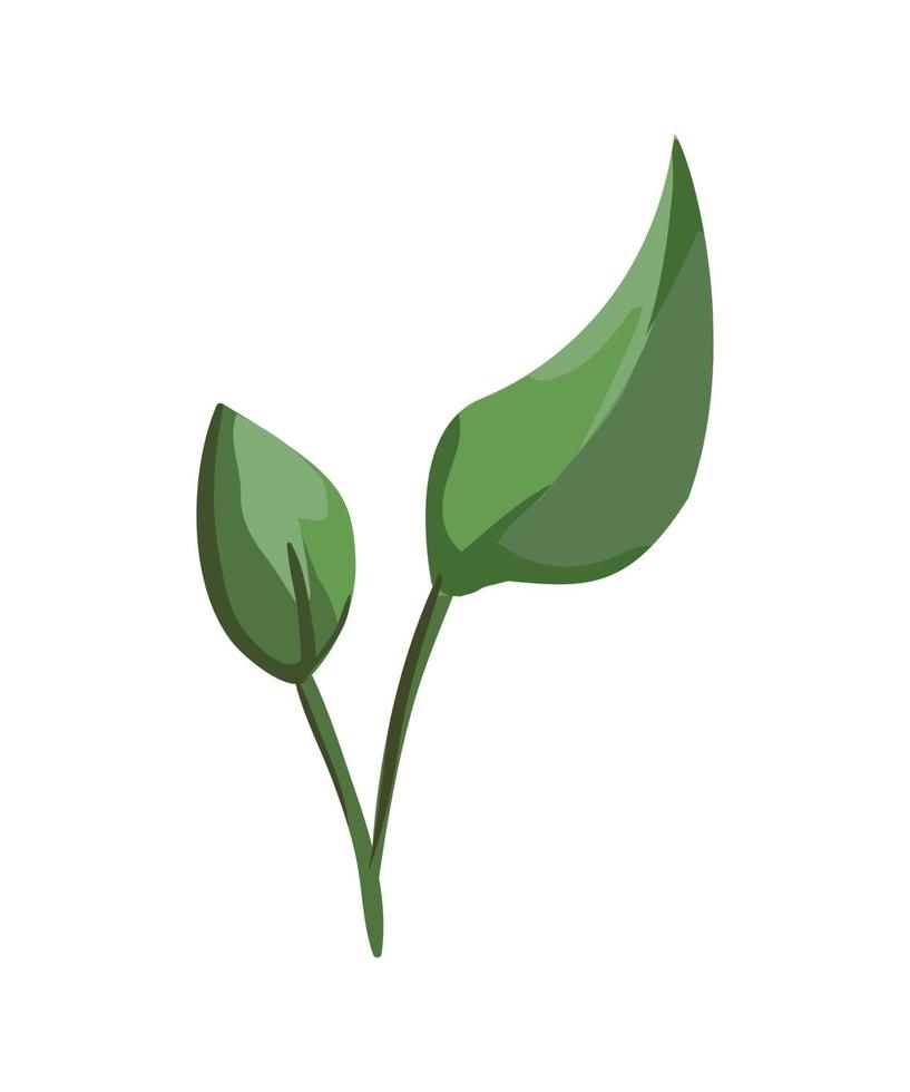 Vector illustration of Flower