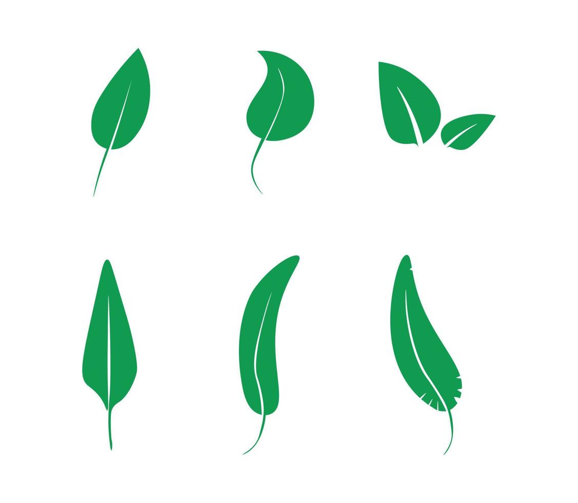 Collection of Green Leaves vector