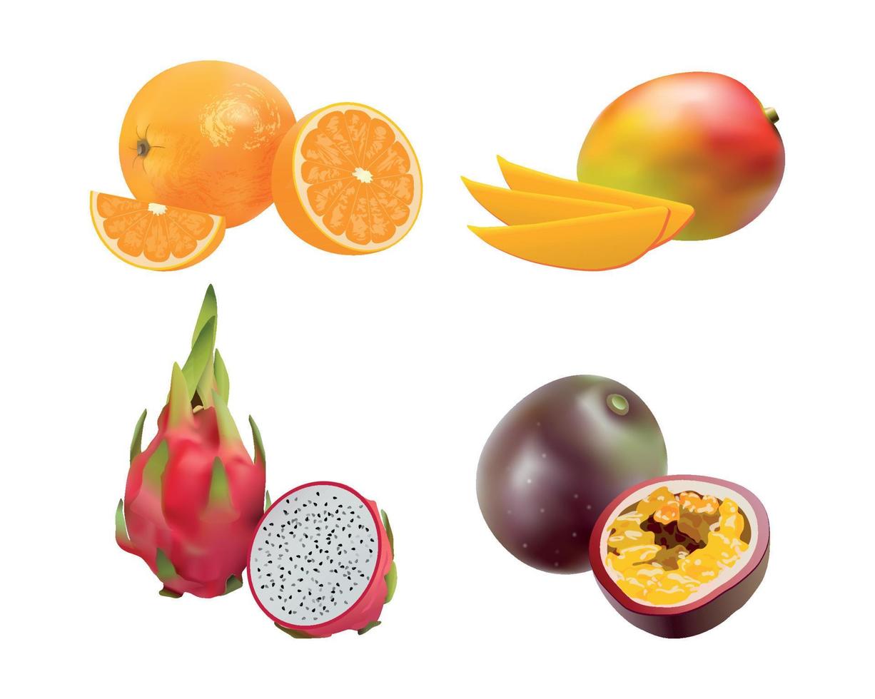 conjunto de frutas realistas vector