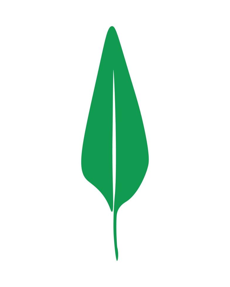 Vector illustration of Green Leaves