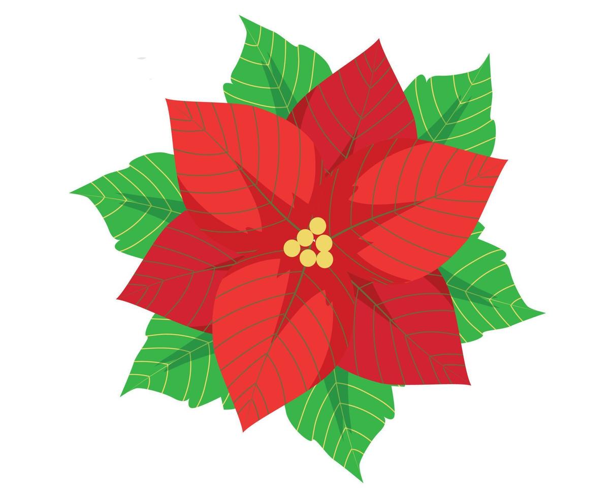 Vector illustration of Mistletoe