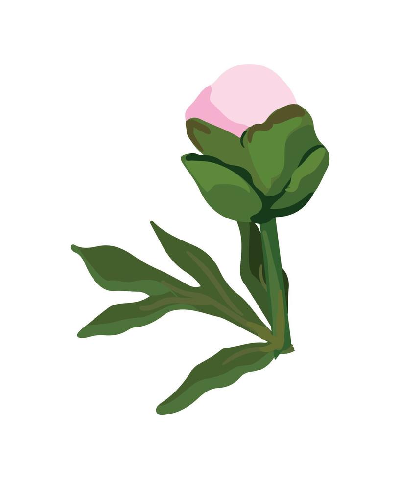 ilustración vectorial de flor vector