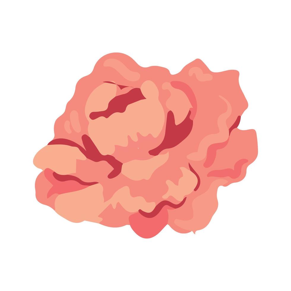 Vector illustration of Flower