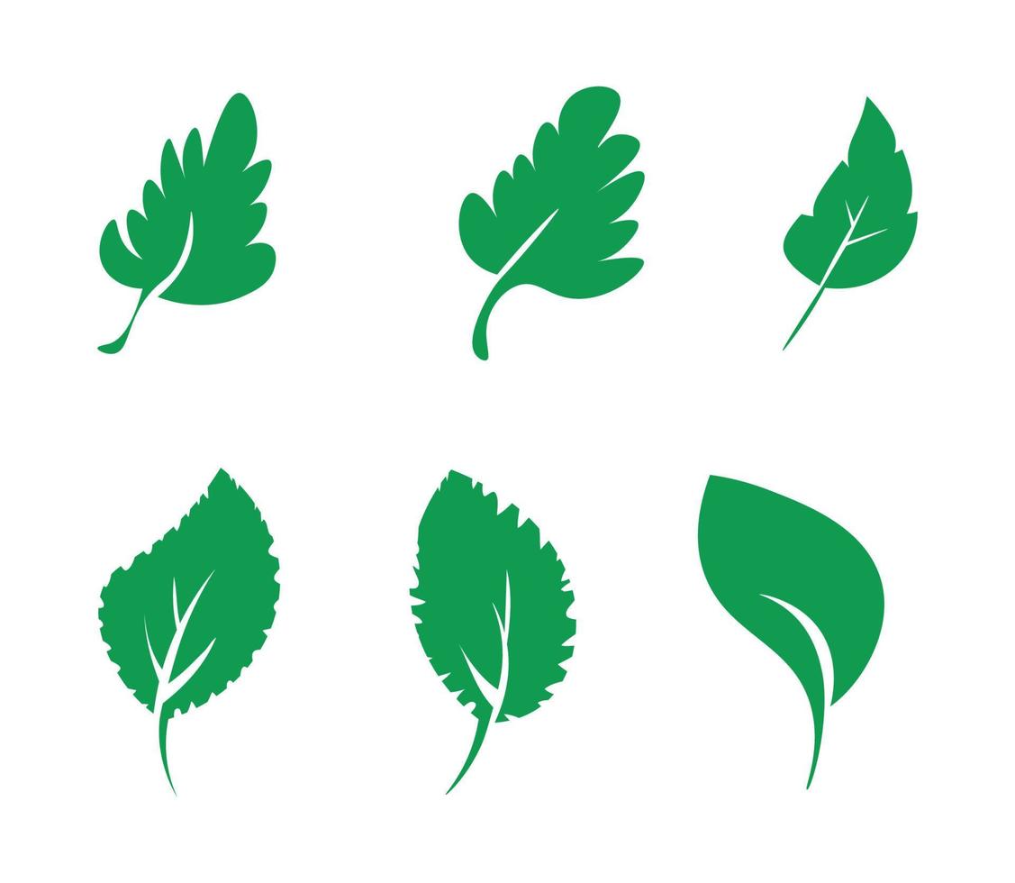 colección de hojas verdes vector