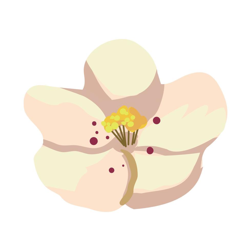 ilustración vectorial de flor vector