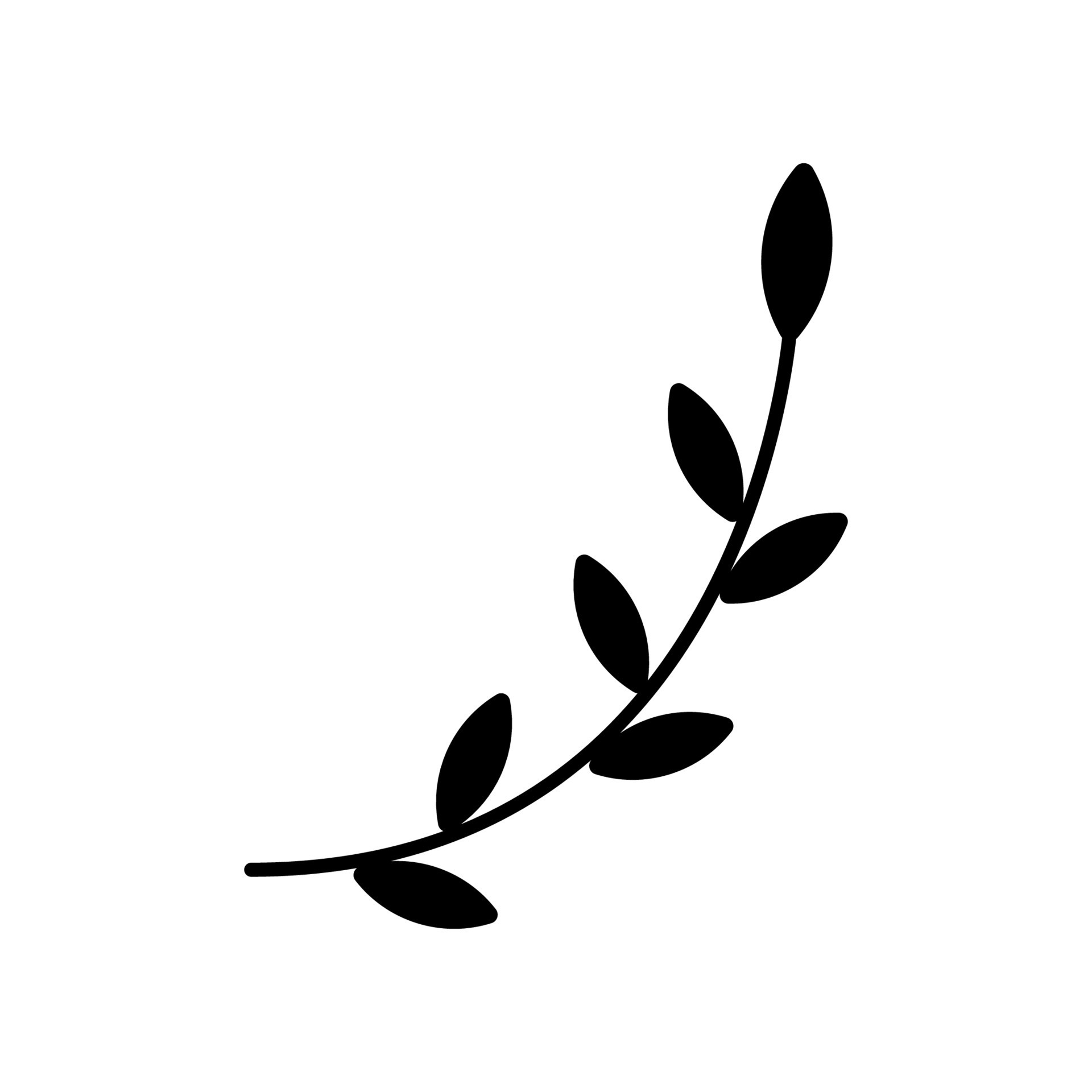 Vector illustration of Olive Branch 13726954 Vector Art at Vecteezy
