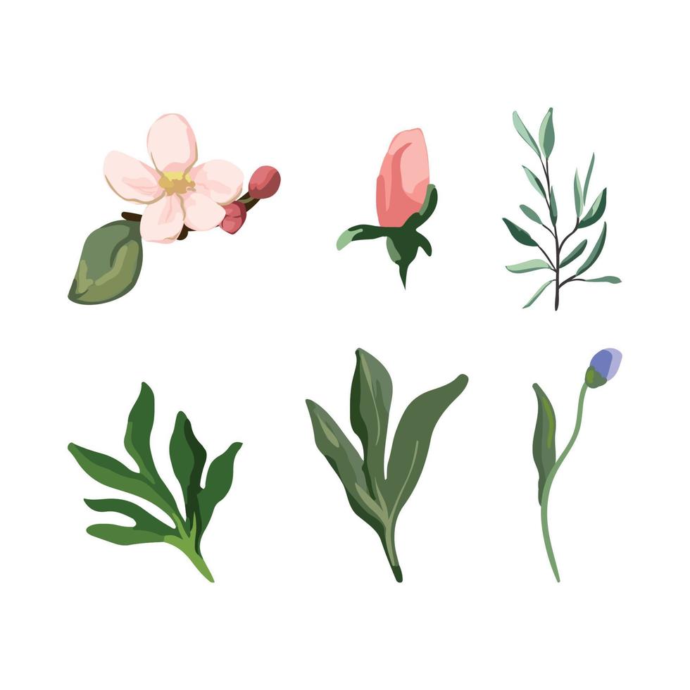 Collection of Flowers vector