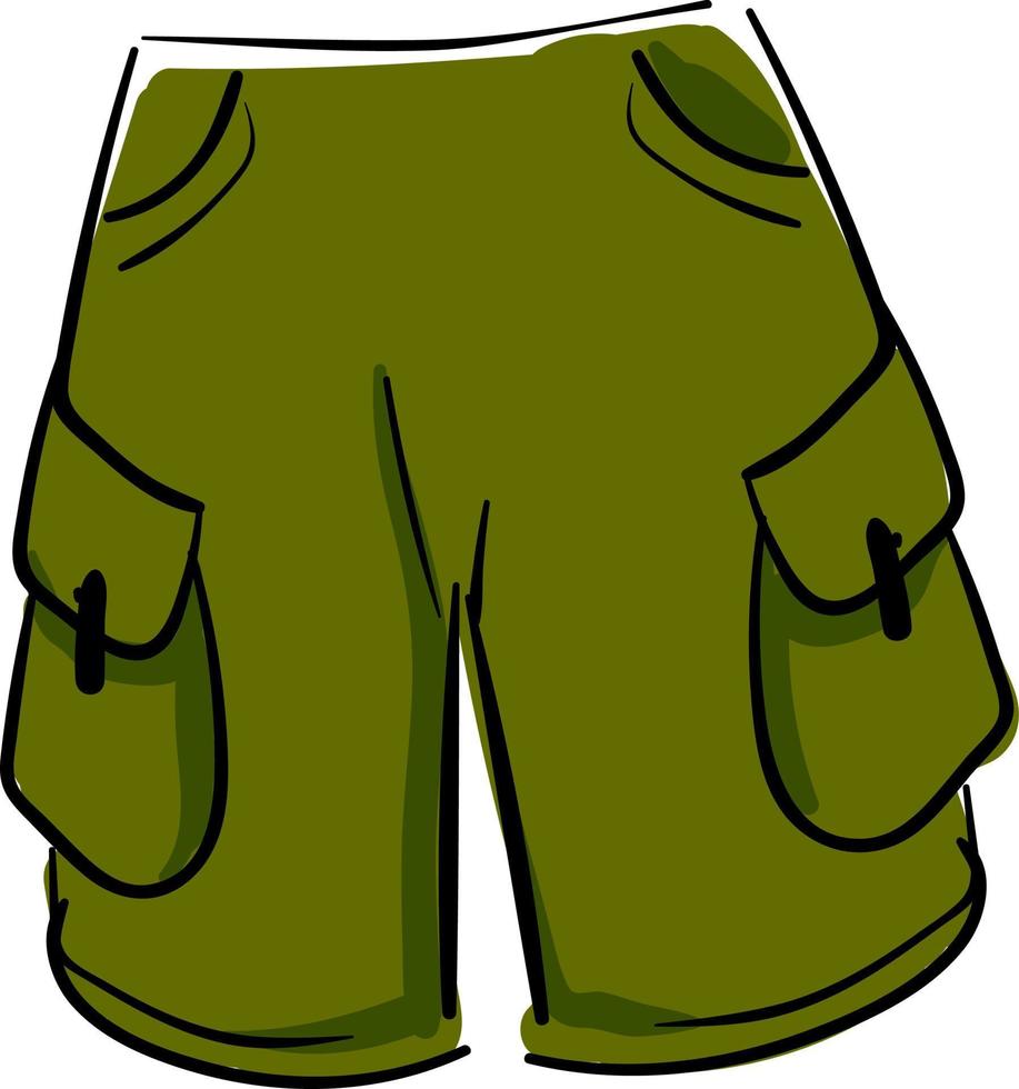 Green shorts, illustration, vector on white background.