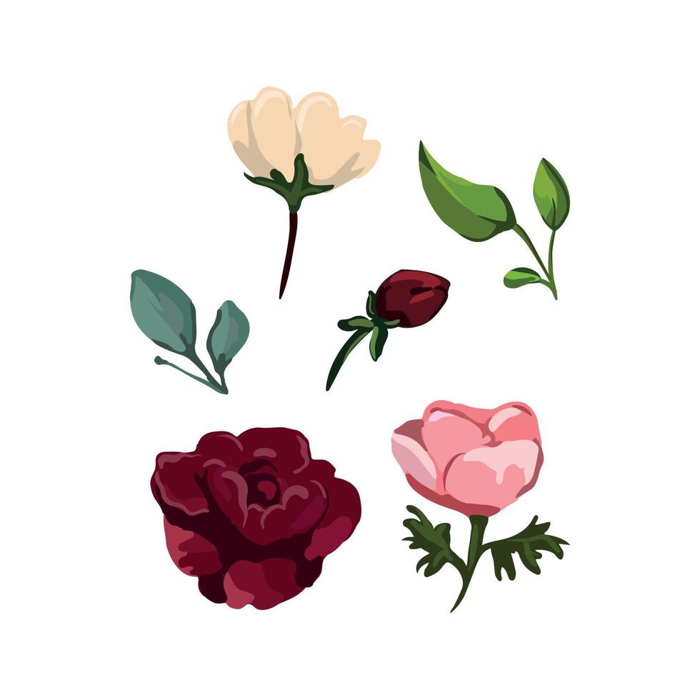 Collection of Flowers vector