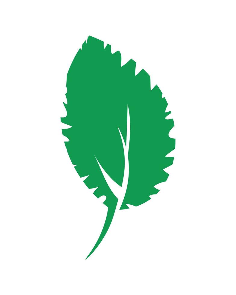 Vector illustration of Green Leaves