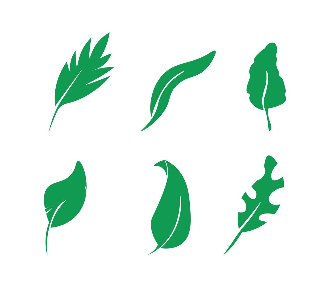 Collection of Green Leaves vector