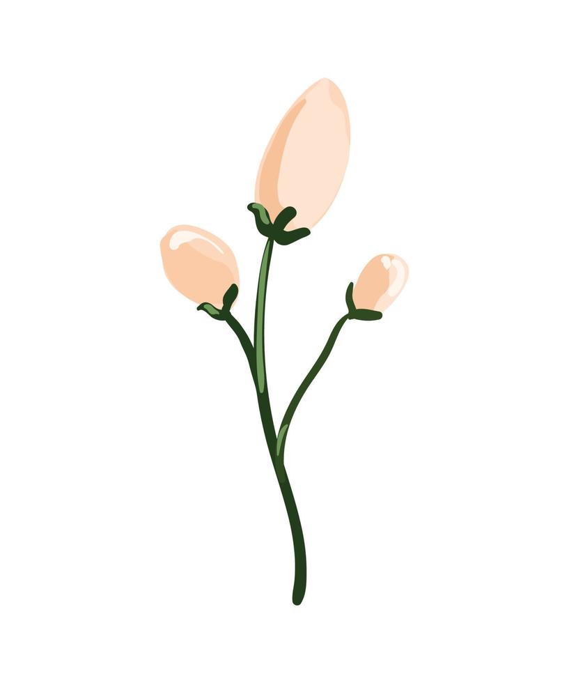 ilustración vectorial de flor vector