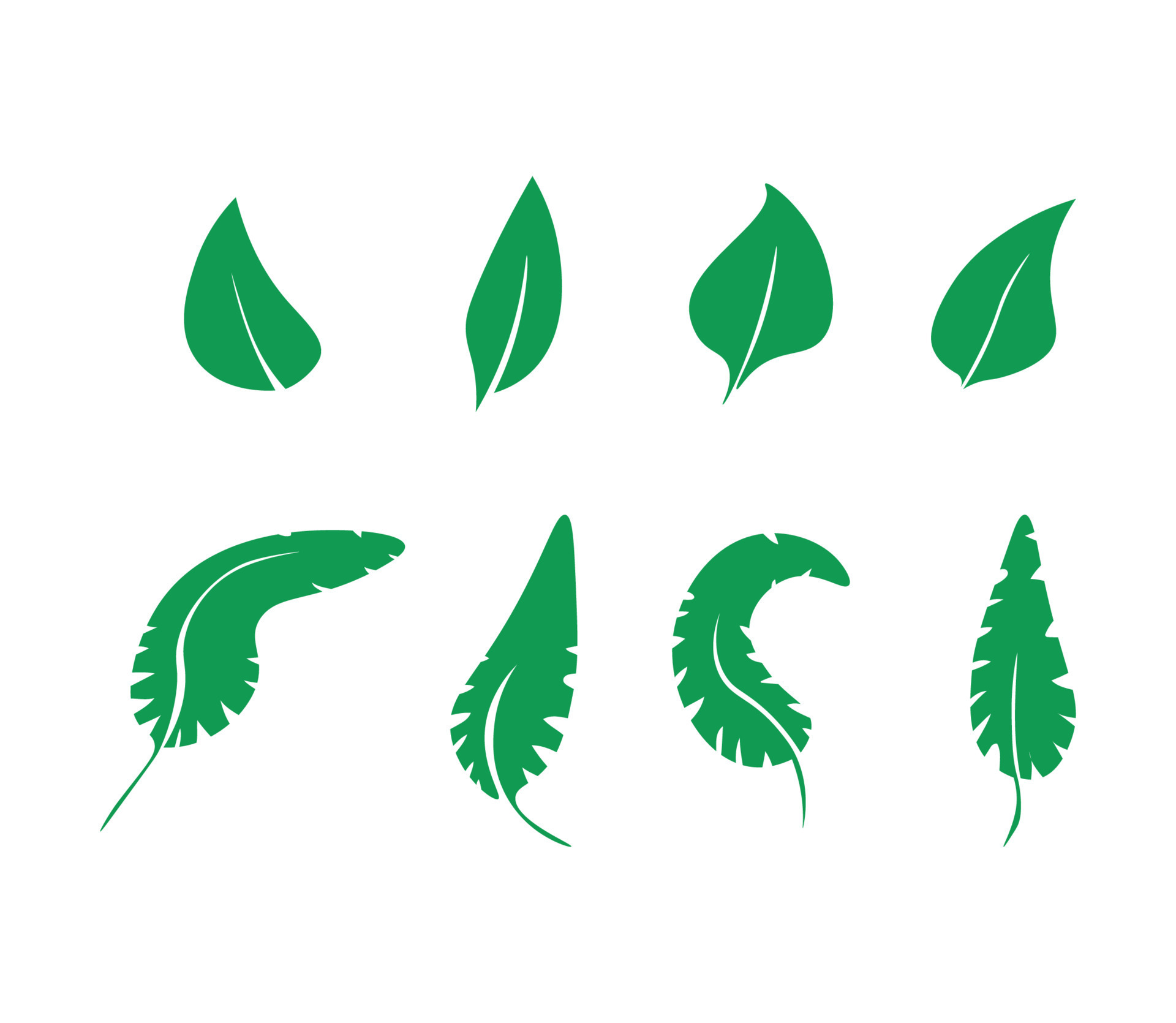 Collection of Green Leaves 13728216 Vector Art at Vecteezy