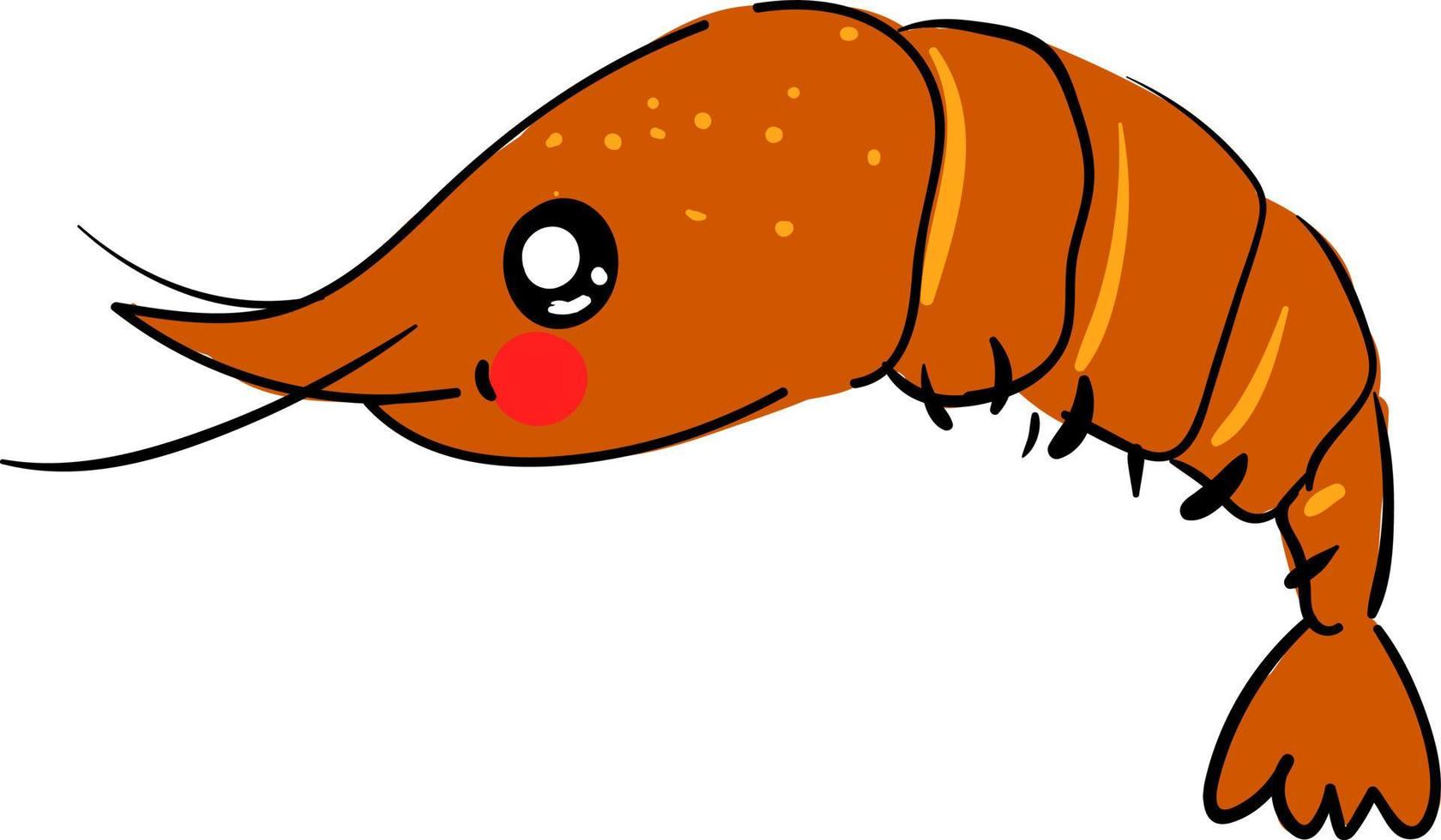 Cute shrimp, illustration, vector on white background.