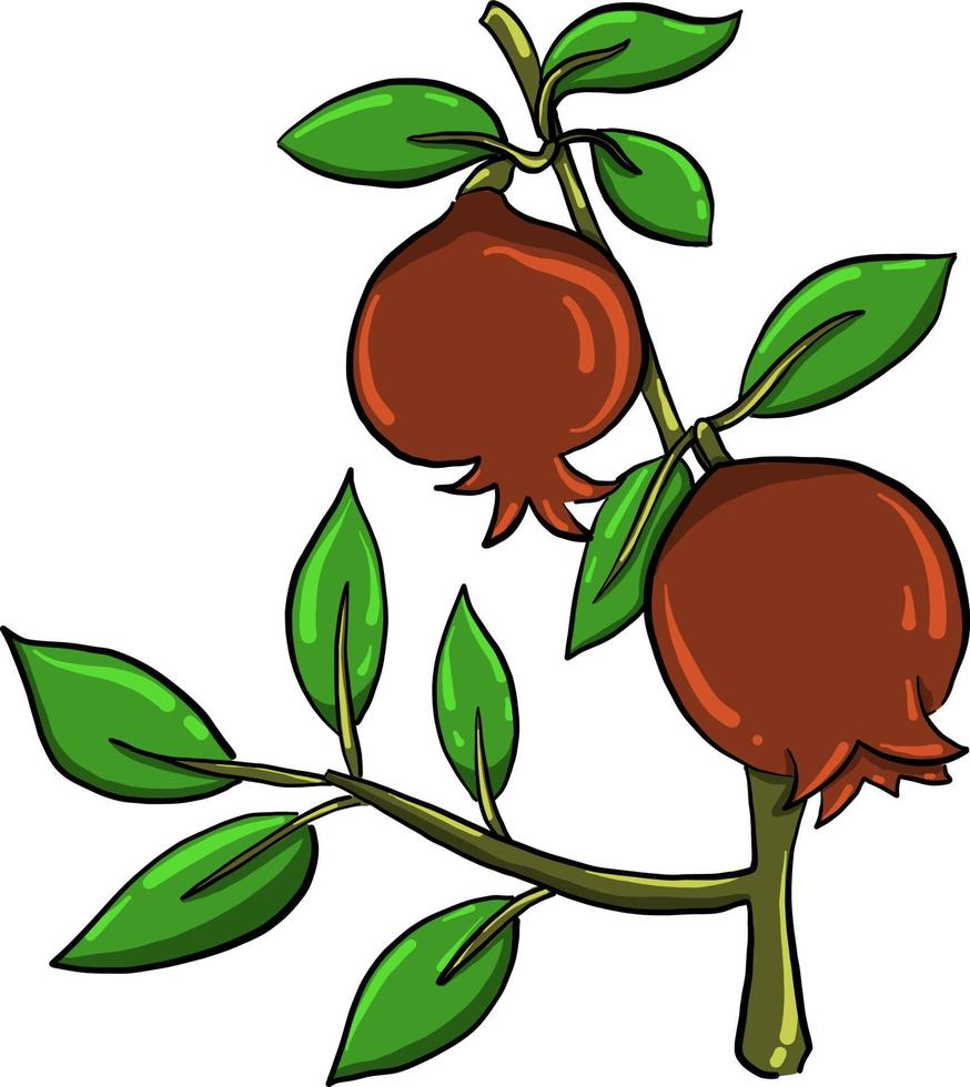 Garnet on tree , illustration, vector on white background