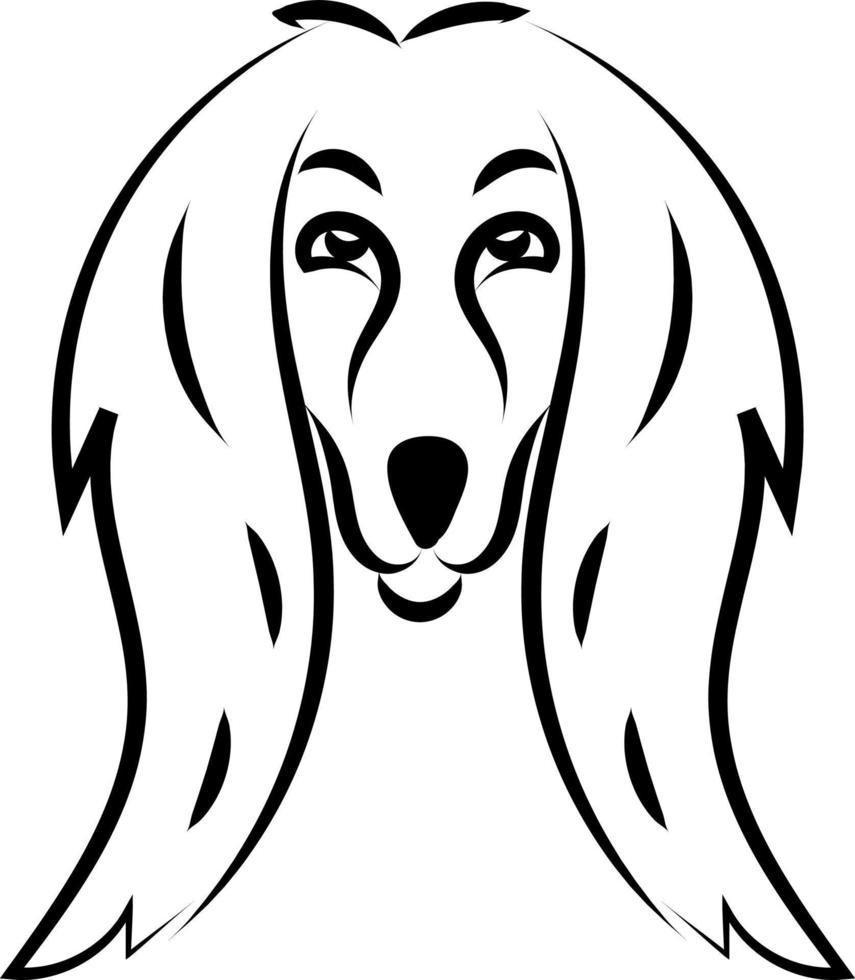 Cute afghan hound dog, illustration, vector on white background.