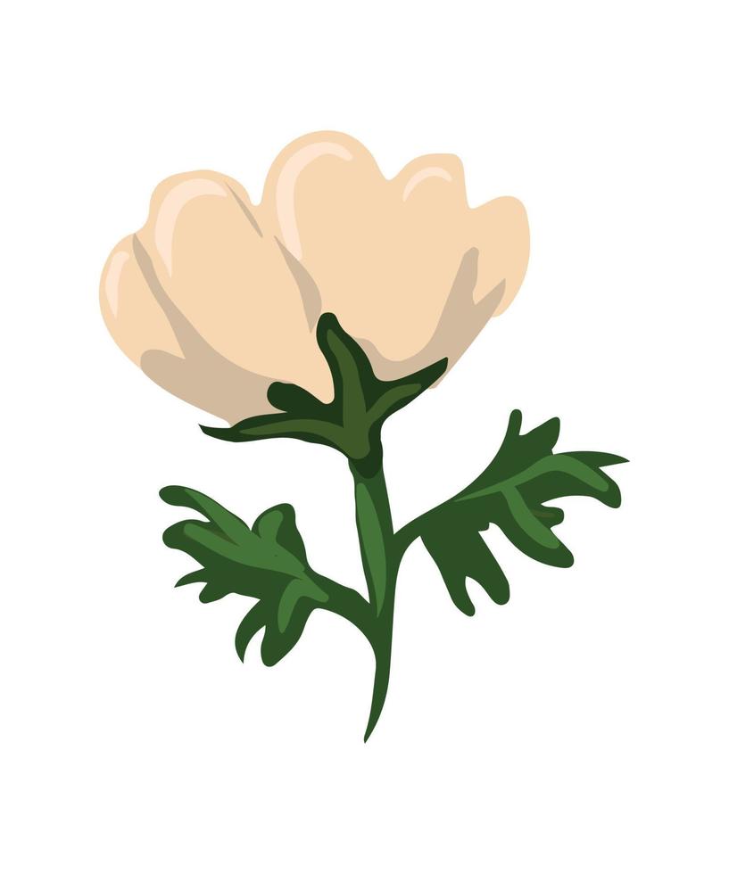 ilustración vectorial de flor vector