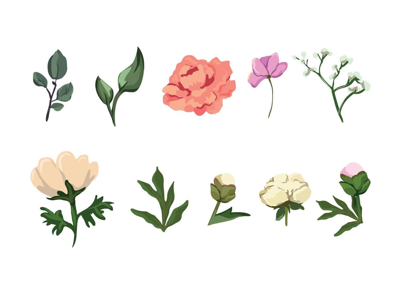 Collection of Flowers vector