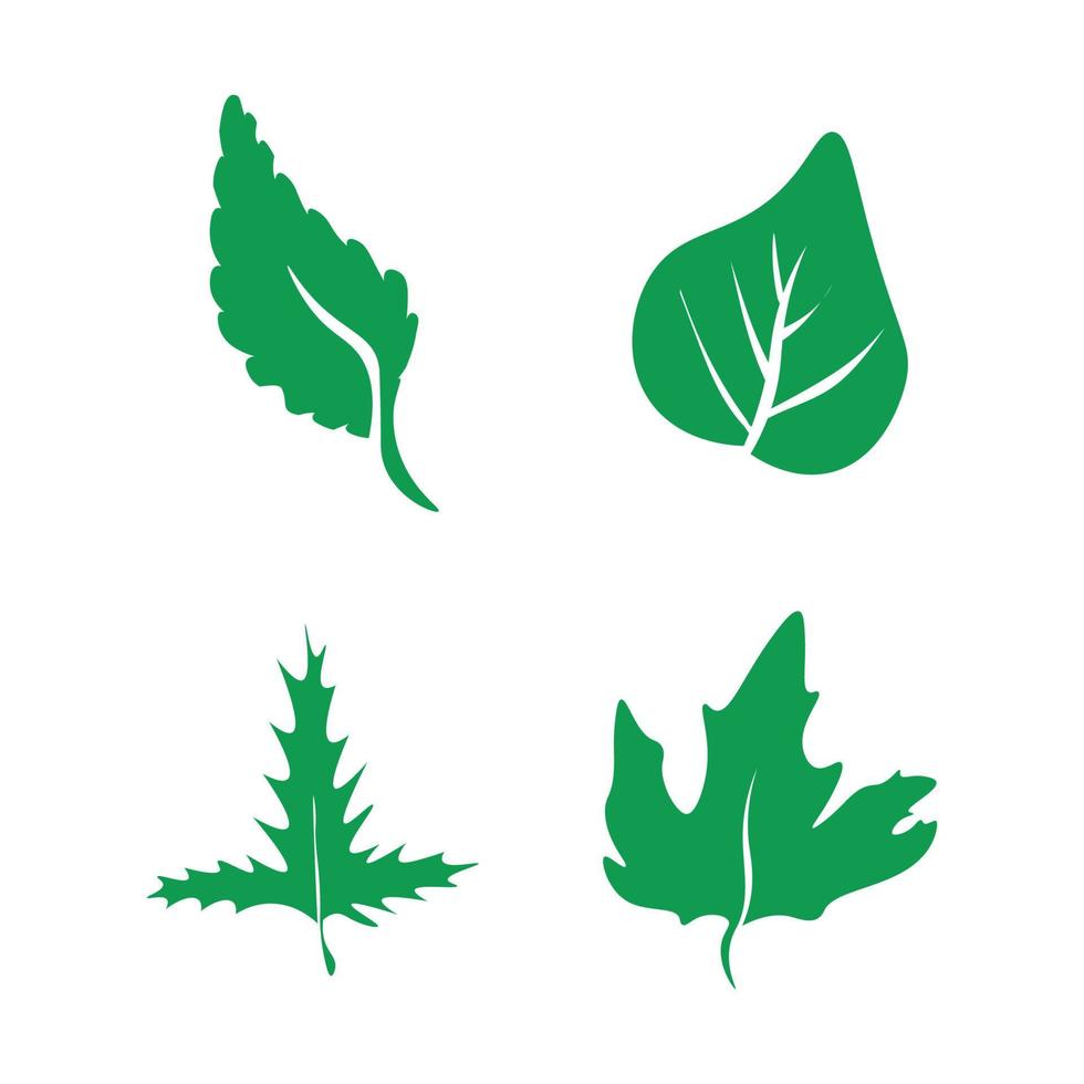 Collection of Green Leaves vector