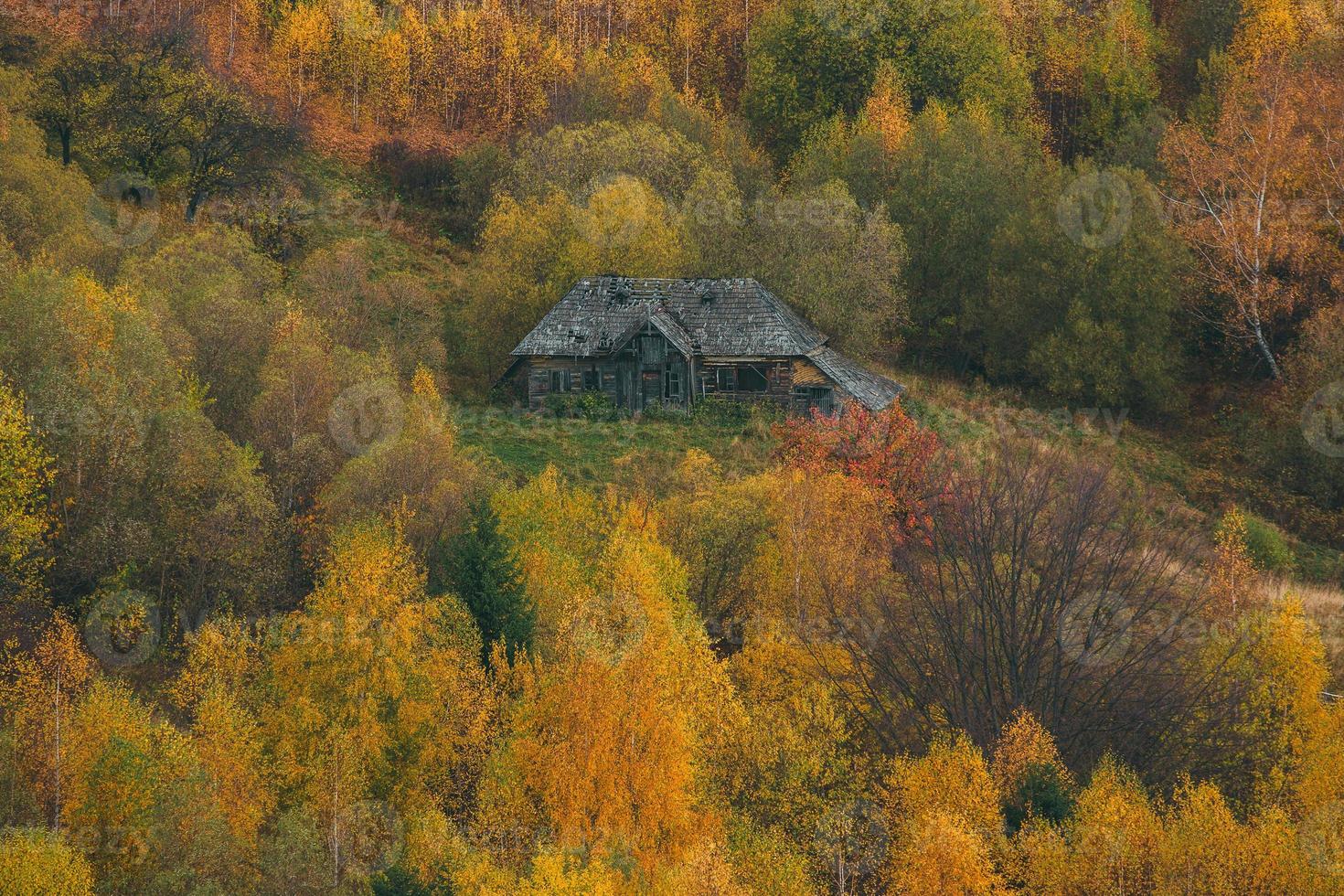 colorido paisaje otoñal en el pueblo de montaña. mañana de niebla en las montañas de los cárpatos en rumania. naturaleza increíble. foto