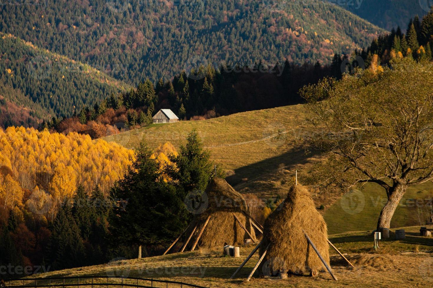 colorido paisaje otoñal en el pueblo de montaña. mañana de niebla en las montañas de los cárpatos en rumania. naturaleza increíble. foto