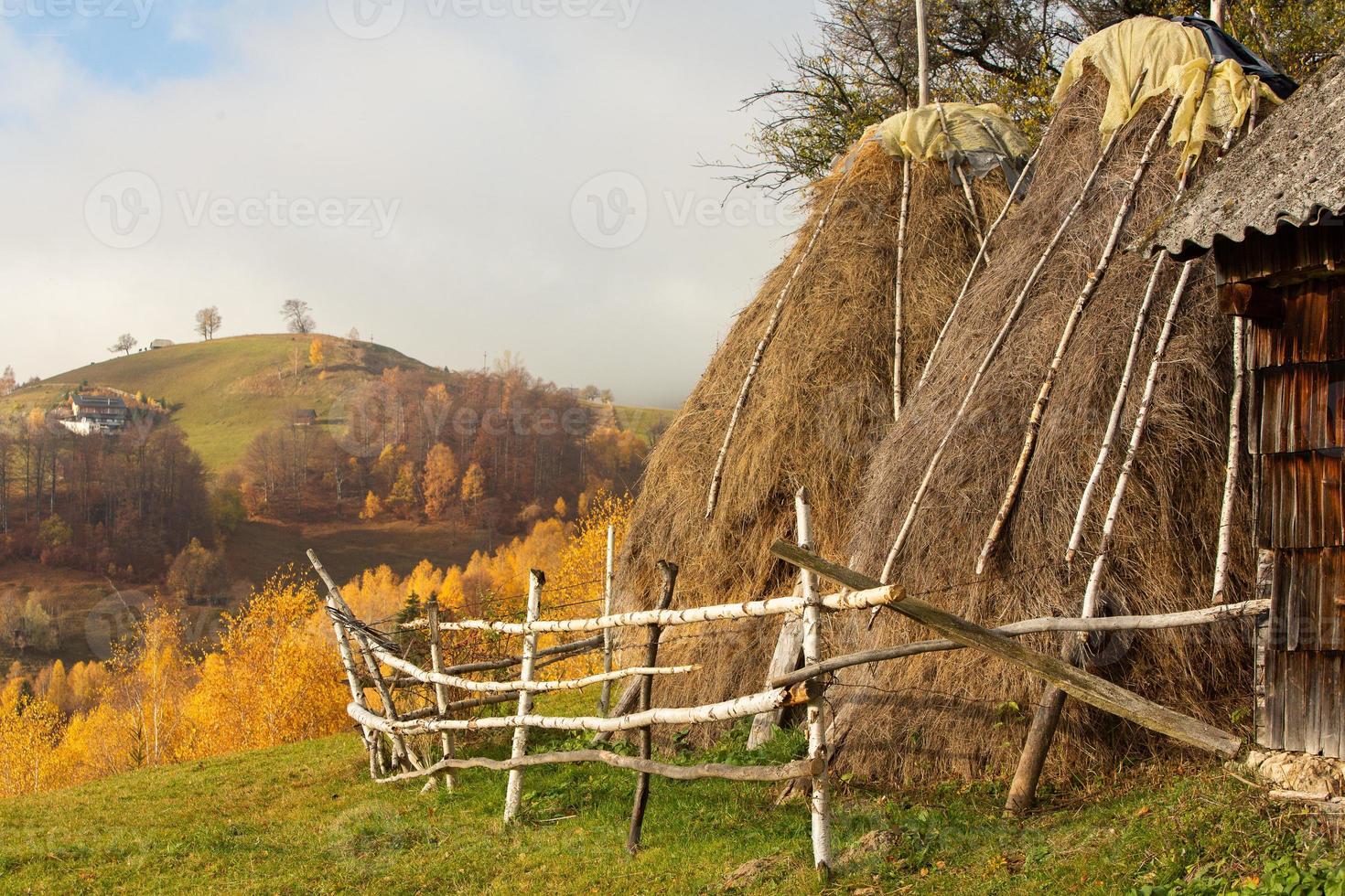 colorido paisaje otoñal en el pueblo de montaña. mañana de niebla en las montañas de los cárpatos en rumania. naturaleza increíble. foto