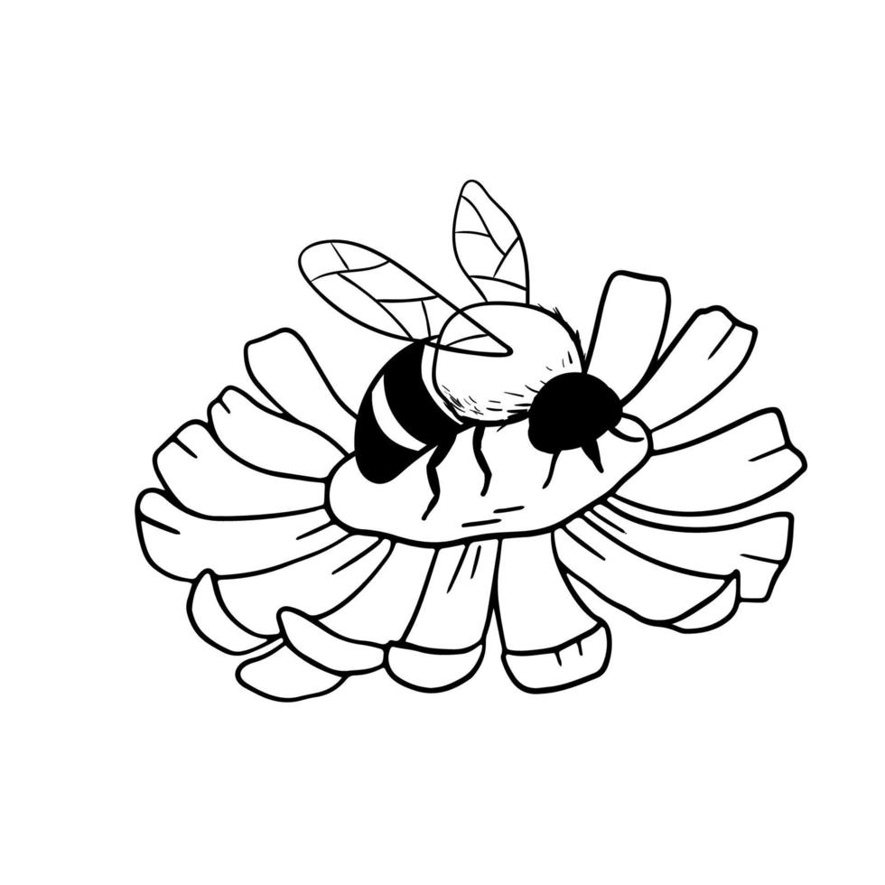 Honey bee on flower isolated on white. Insect in hand drawn style. Vector monochrome doodle illustration.