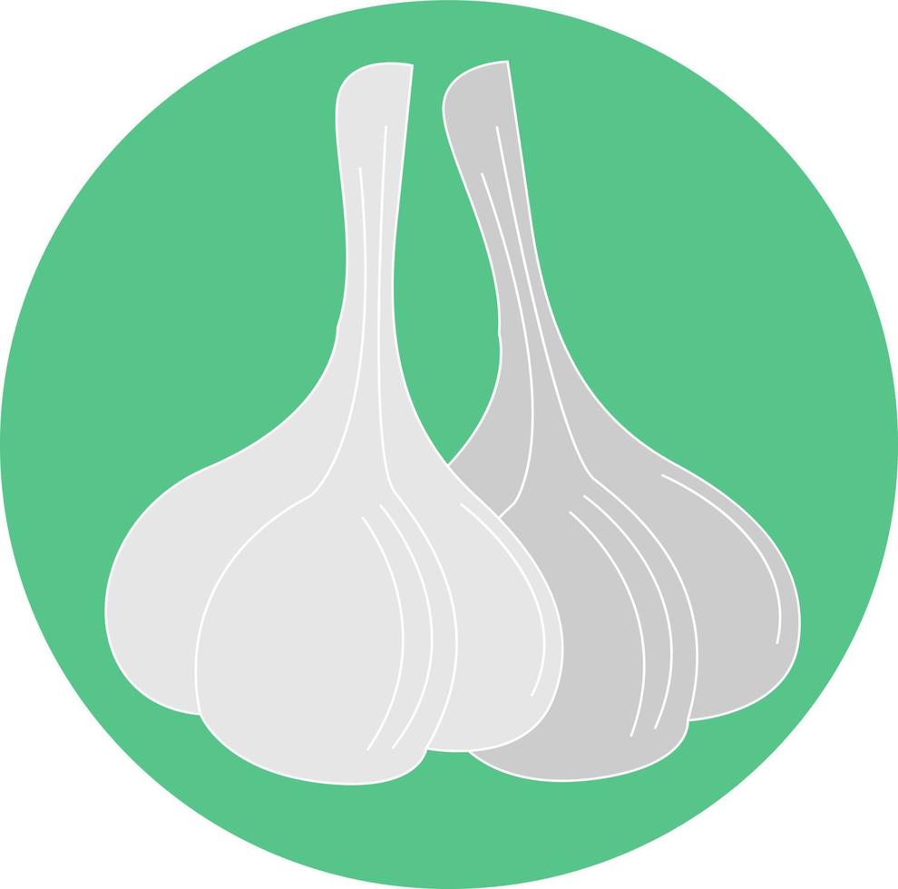 Healthy garlic, illustration, vector on white background.