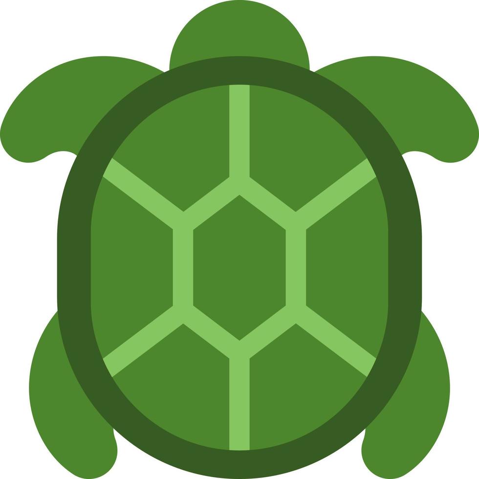 Green sea turtle, illustration, vector, on a white background. vector