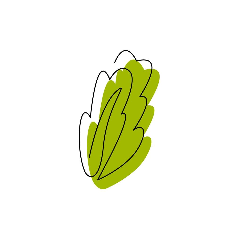 Fresh green lettuce vegetable in continuous line with abstract spot. Simple plant with leaves logo design isolated on white. Contour minimalist silhouette. One line flat vector illustration isolated