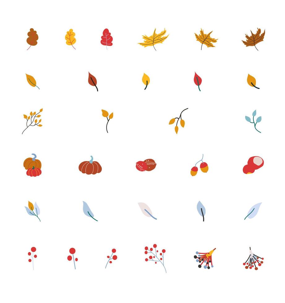 hojas de otoño y bayas colección ilustración vectorial vector