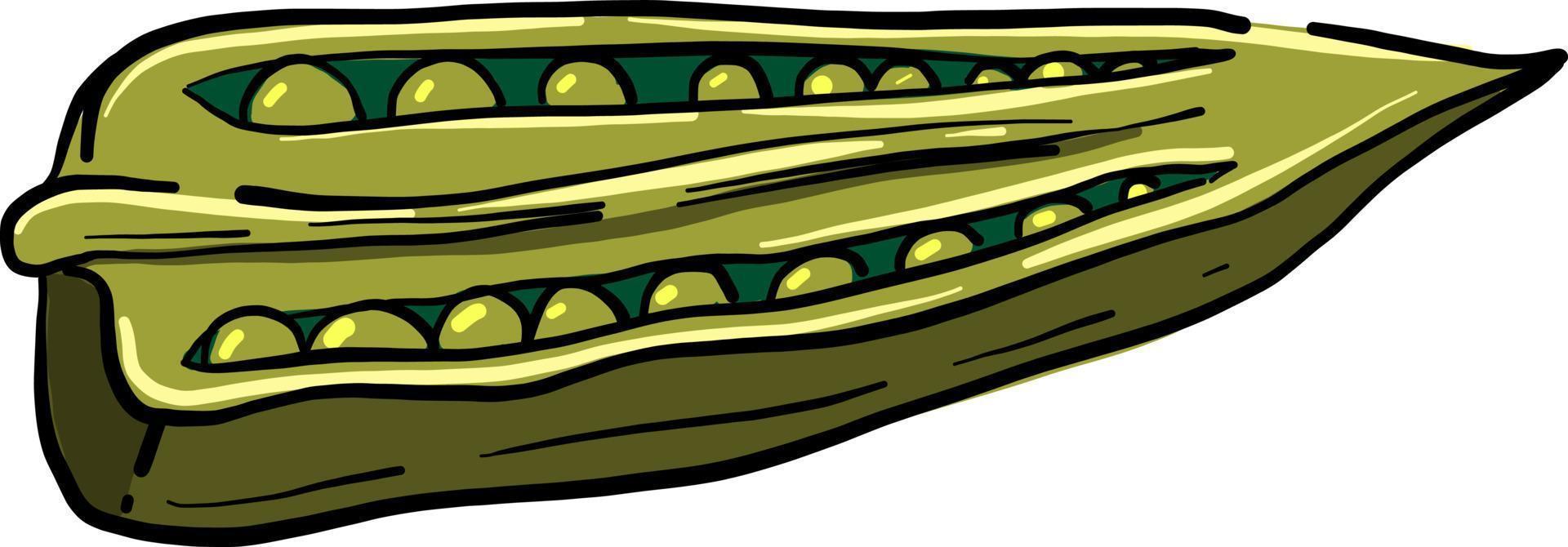 Green peas, illustration, vector on white background