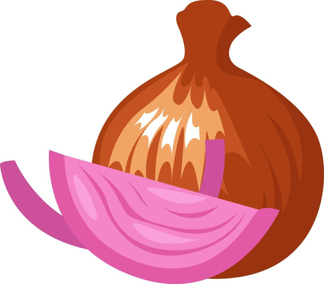 Purple onion, illustration, vector on white background.