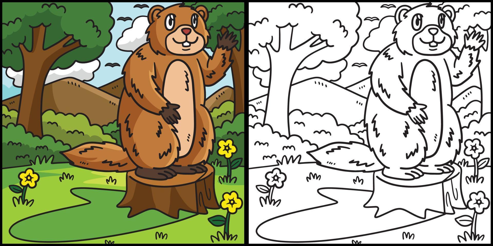 ilustración de la página para colorear de la marmota que agita vector